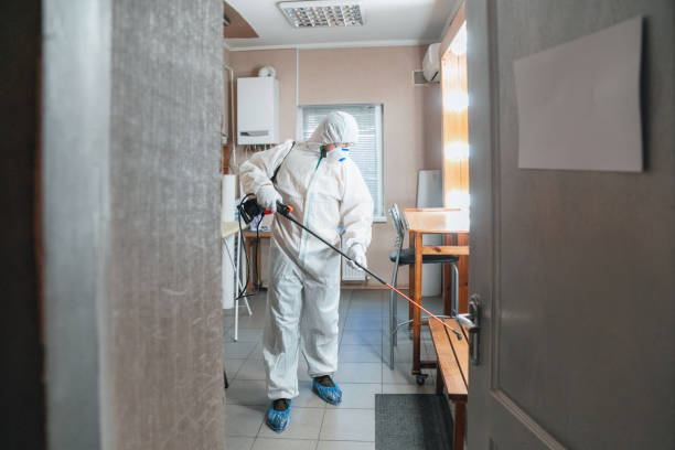 Twinsburg Heights, OH Mold Removal Company