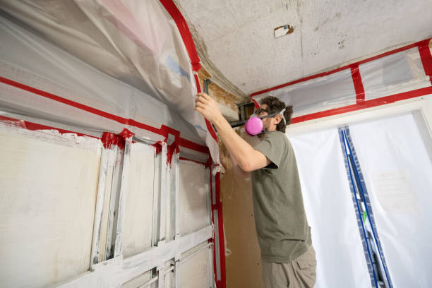 Best Mold Removal for HVAC Installations  in Twinsburg Heights, OH