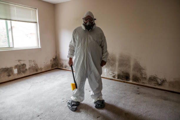 Best Forensic Mold Investigation  in Twinsburg Heights, OH